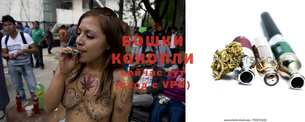 mdpv Елизово