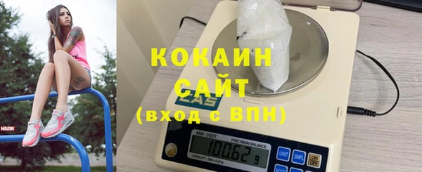 гашик Мегион