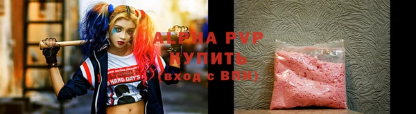 винт Ельня