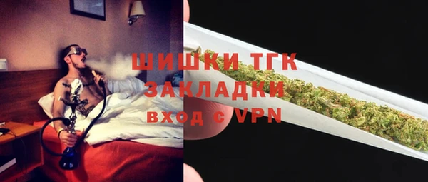 молекула духа Медвежьегорск
