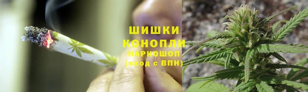 гашик Михайловка