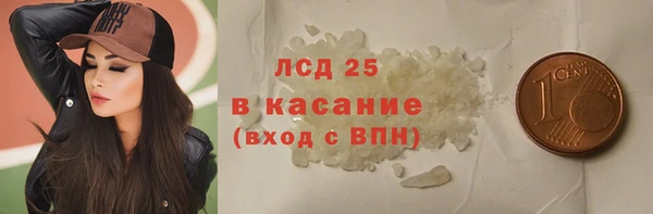 винт Ельня