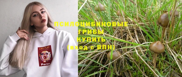 винт Ельня