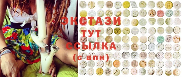 гашик Мегион