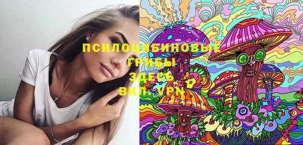 стафф Медногорск