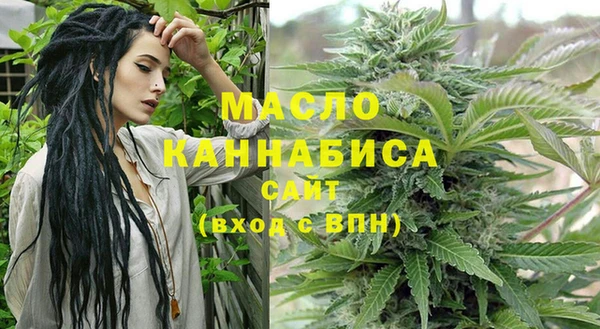 молекула духа Медвежьегорск