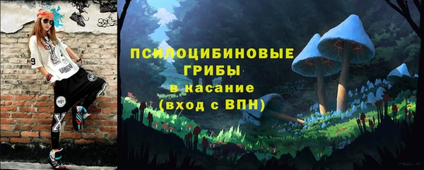 гашик Мегион