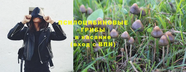 твердый Елабуга