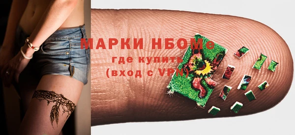 гашик Мегион