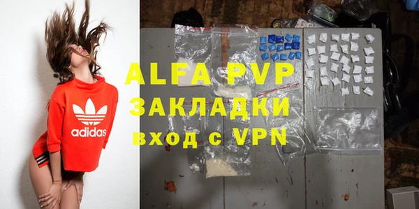 гашик Мегион