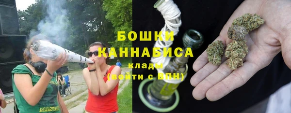 стафф Медногорск