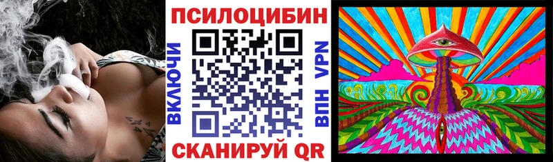 Псилоцибиновые грибы мицелий  Ельня 